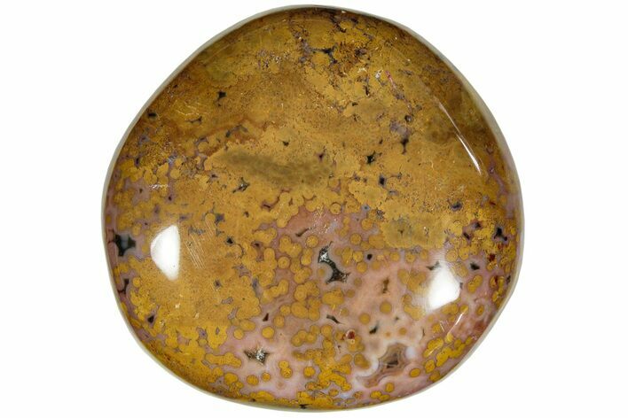 Polished Ocean Jasper Stone - New Deposit #223021